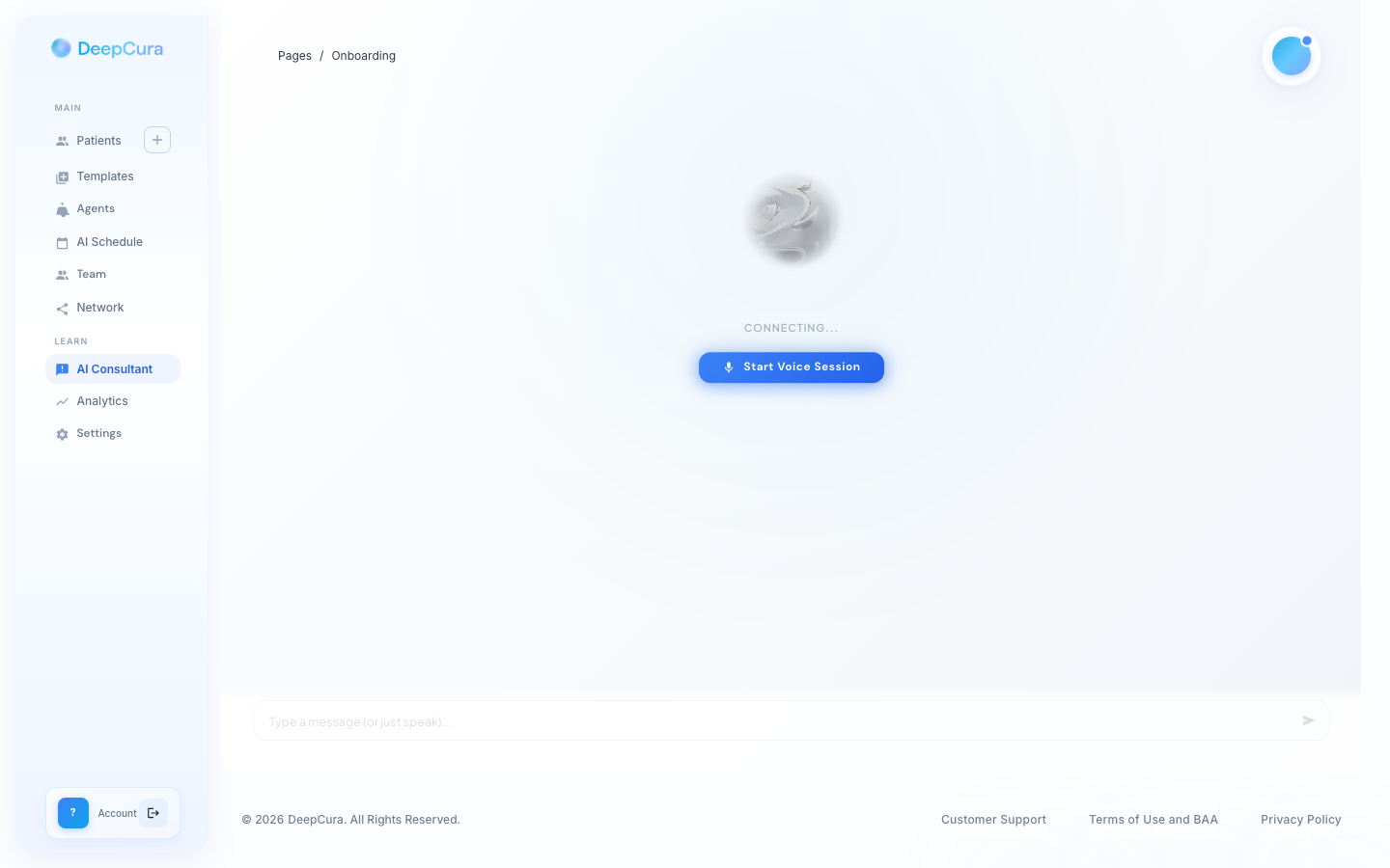 AI Consultant Emily